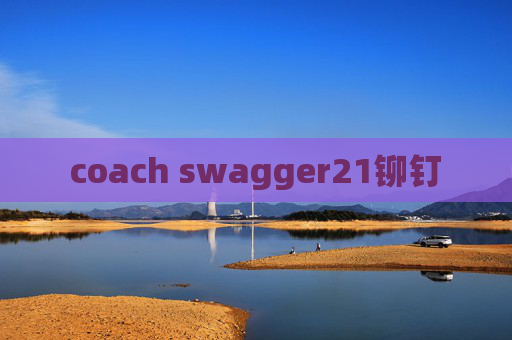coach swagger21铆钉